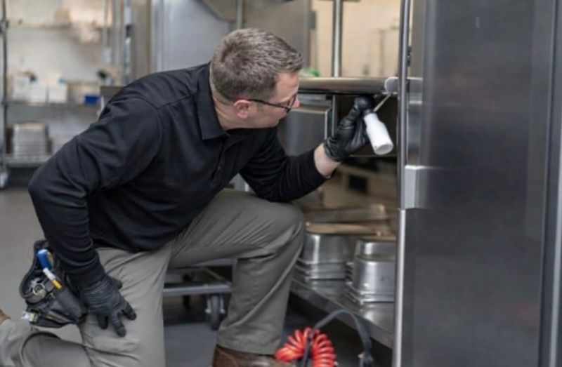 Commercial Pest Control 