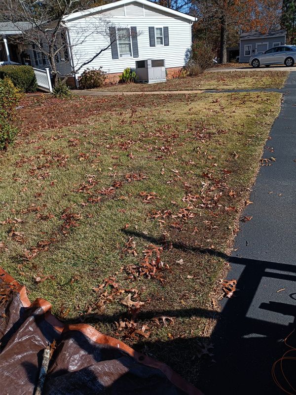 Lawn Care