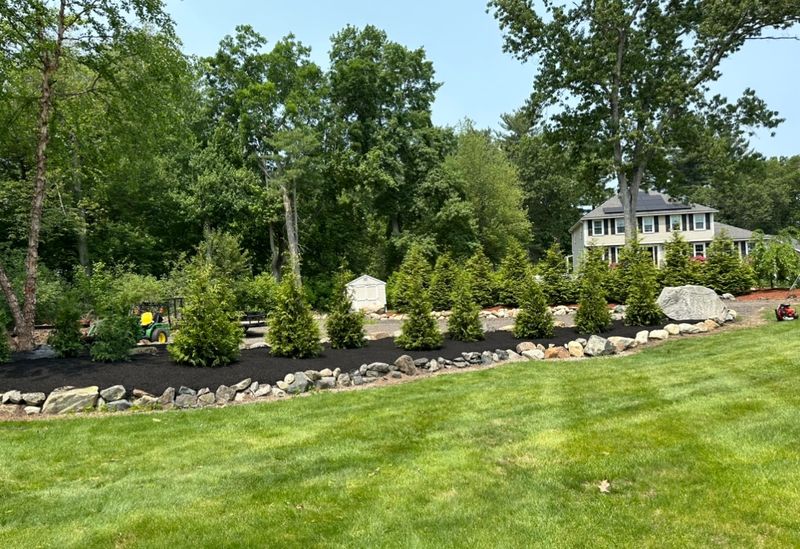 Landscaping