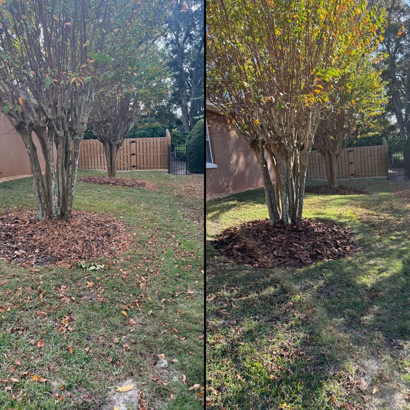 Mulch Installation