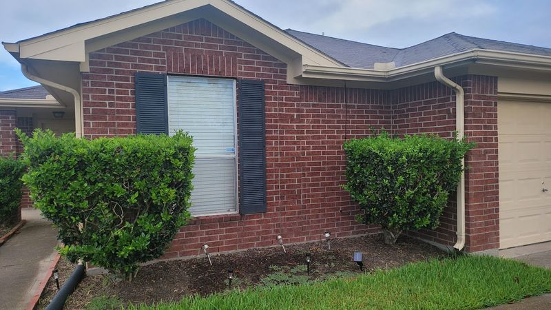 Shrub Trimming