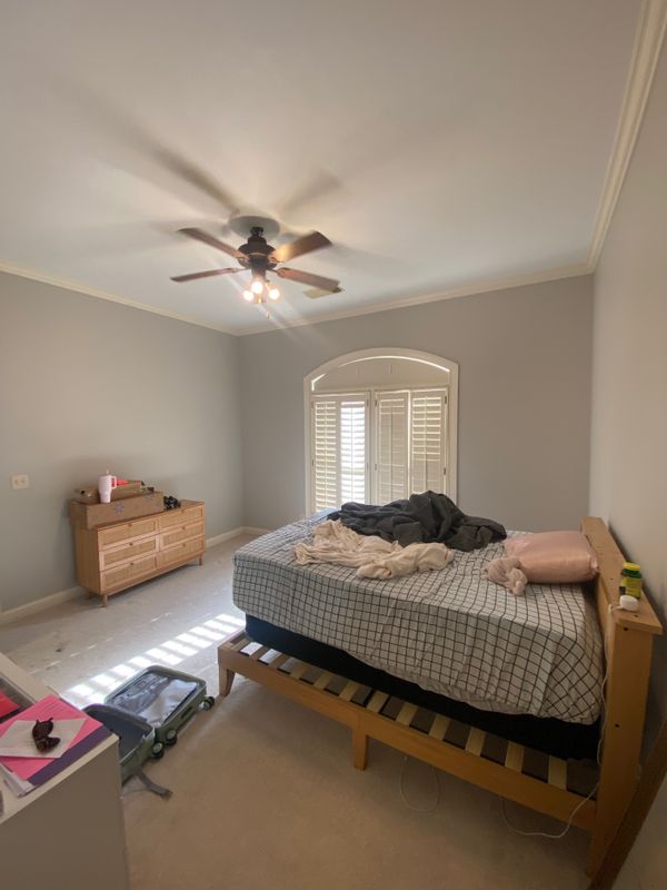 Painting Services