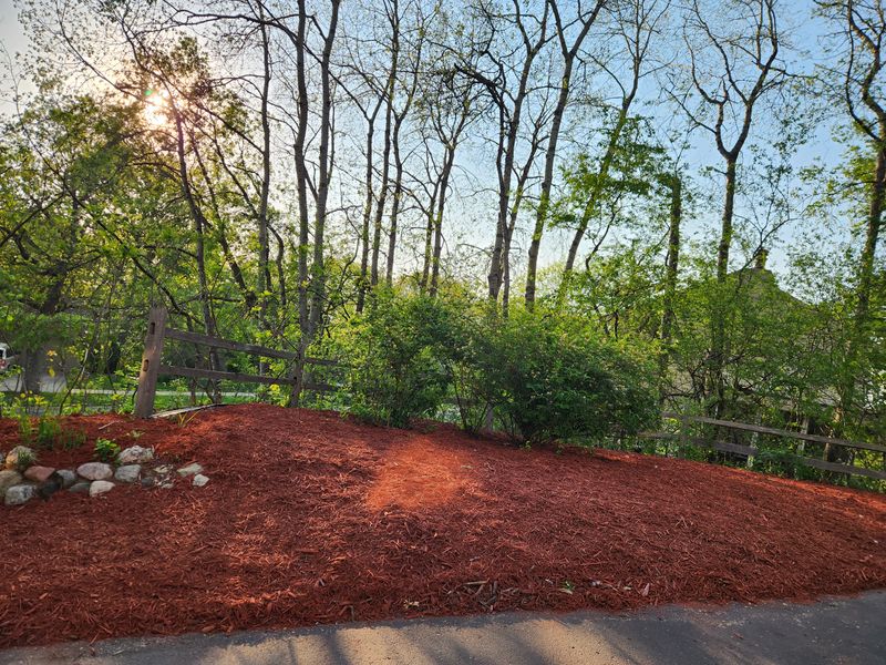 Landscaping 