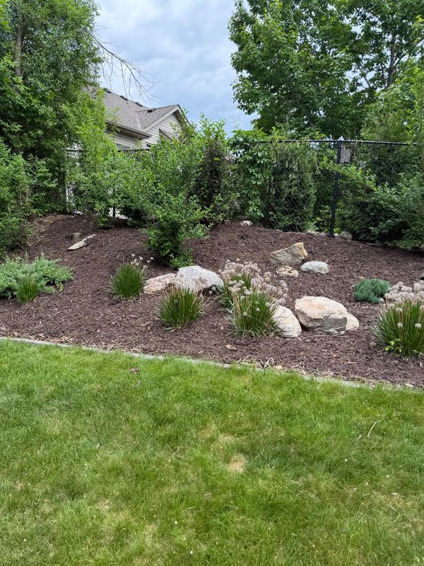 Landscape Design & Installation
