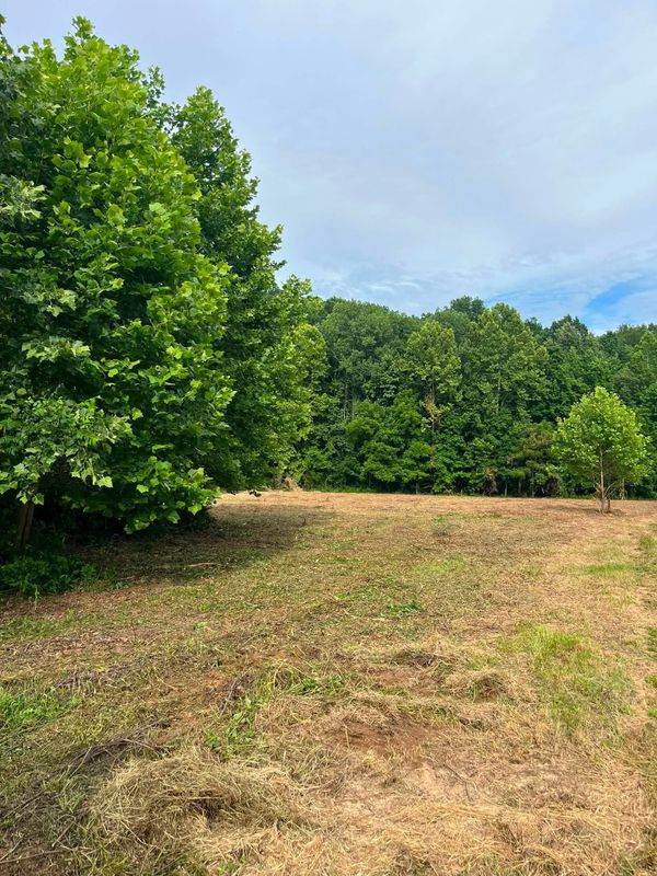 Brush Clearing