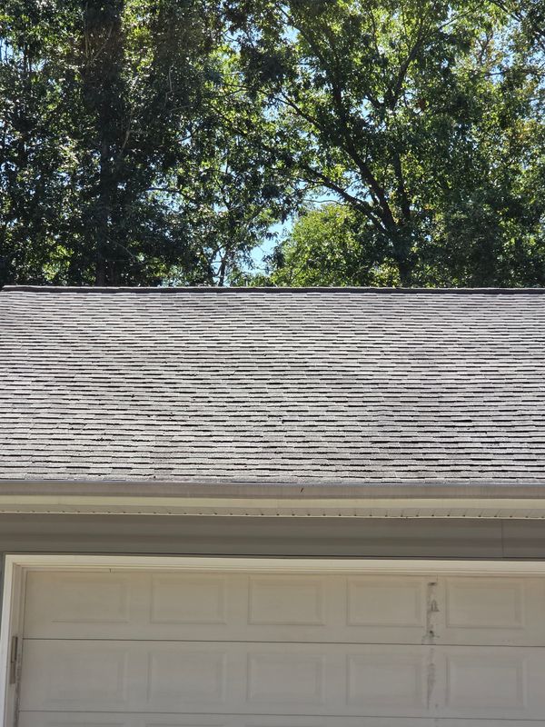 Roof Cleaning