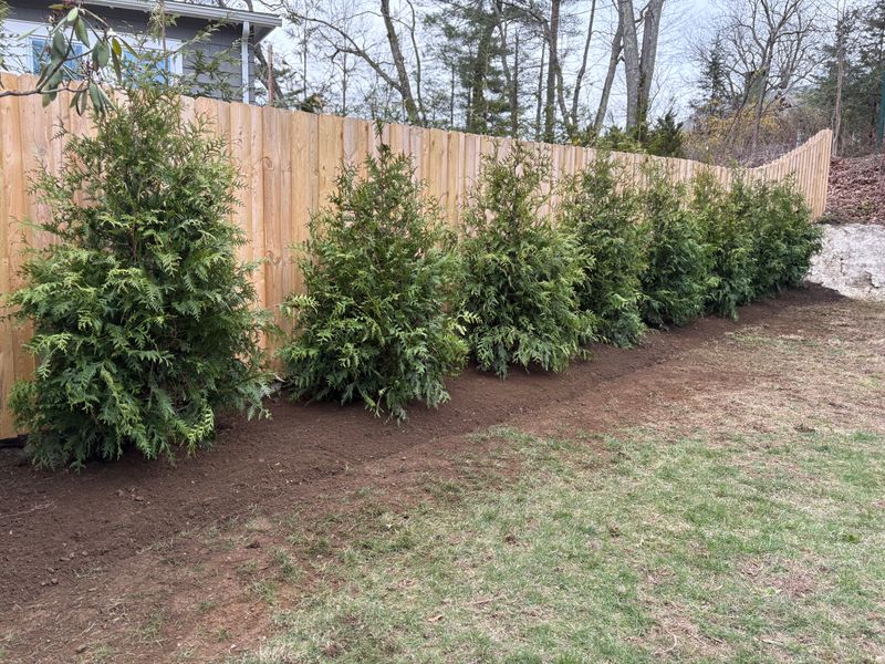 Landscaping