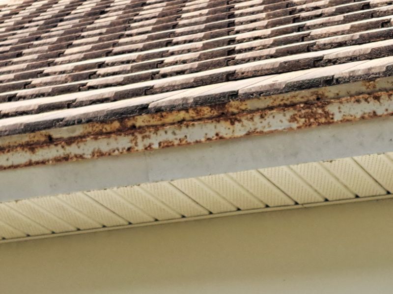 Rust Treatments