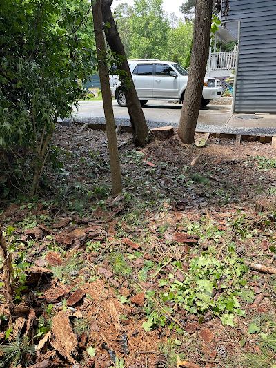 Residential Restoration