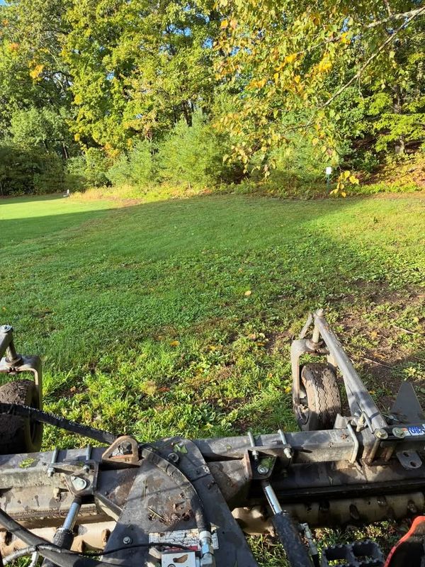 Lawn Maintenance