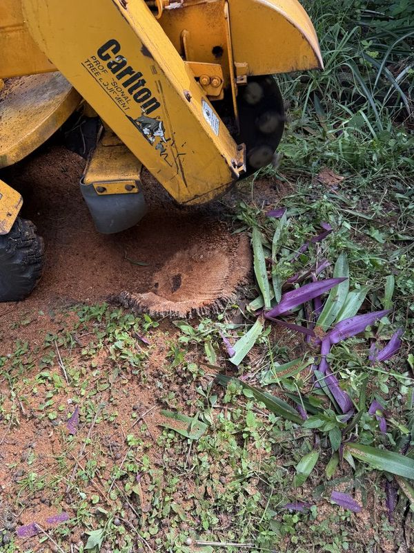 Stump Grinding