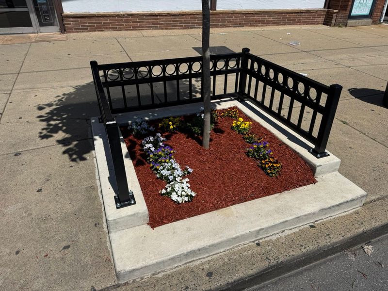 Landscape Design