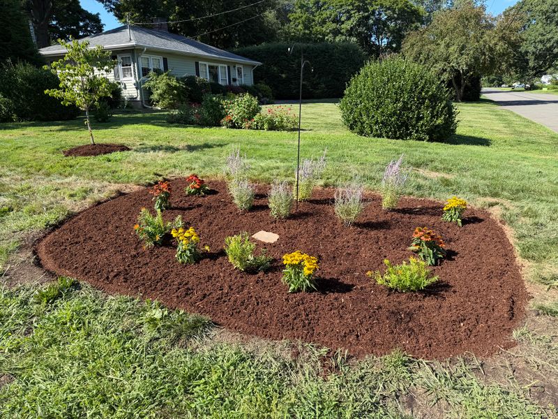 Tree & Shrub Care