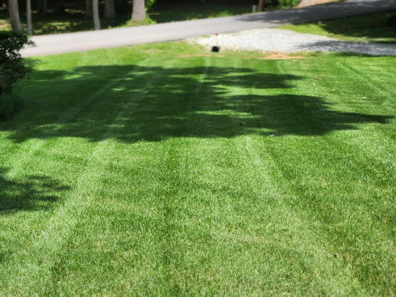 Lawn Care