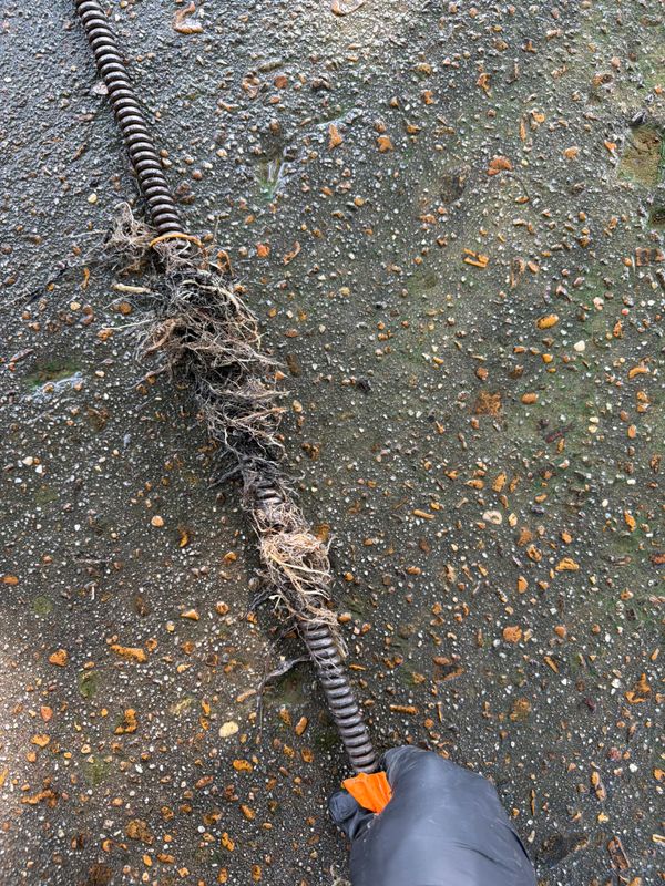 Drain Cleaning and Unclogging