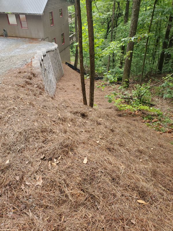 Land Clearing