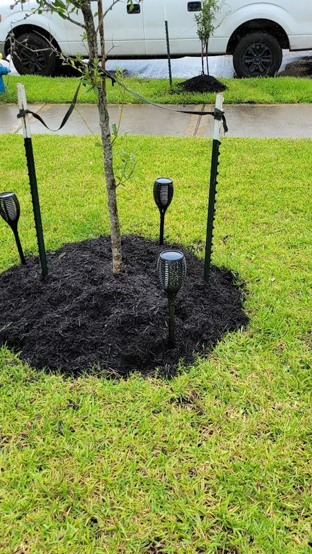 Mulch Installation