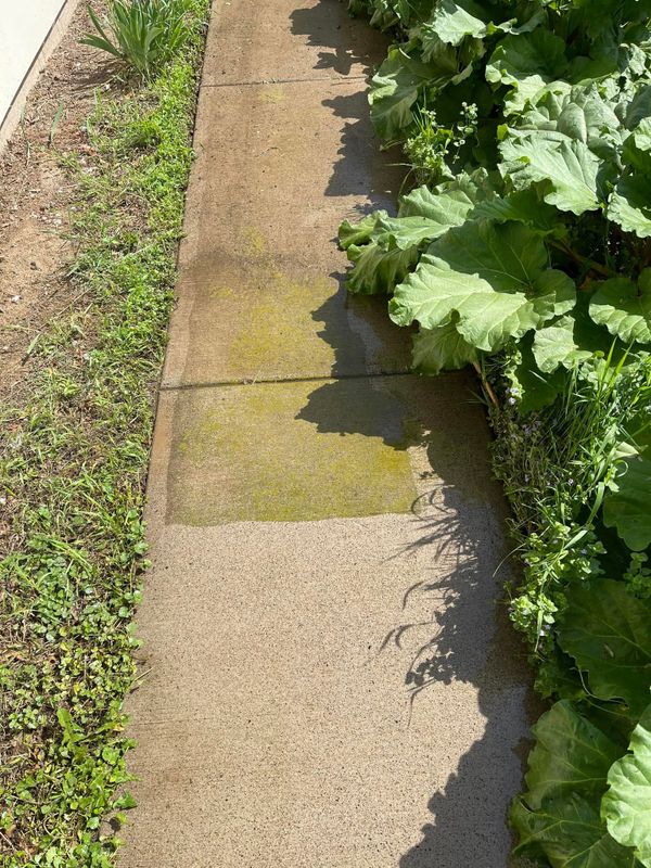 Driveway and Sidewalk Cleaning