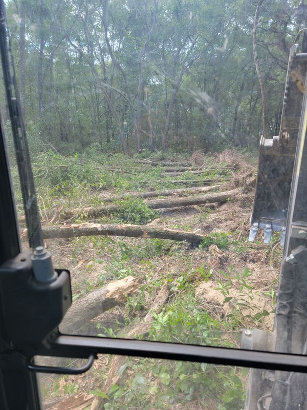 Land Clearing gallery