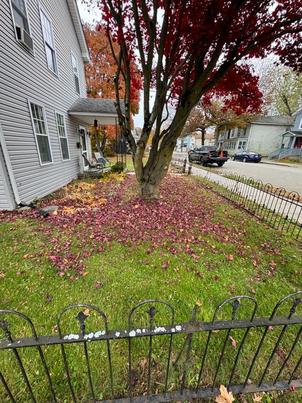Fall Cleanup