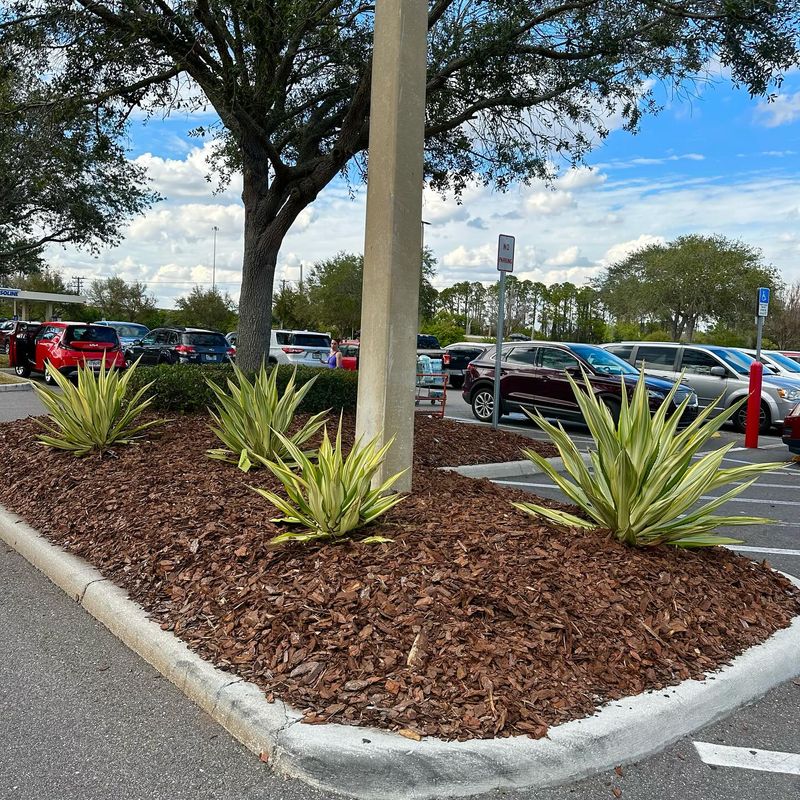 Landscape Maintenance