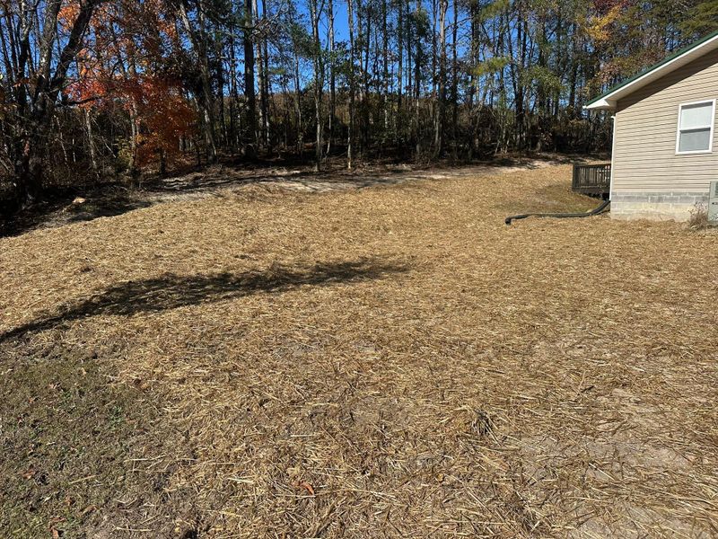 Site Preparation