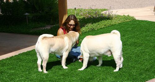 Landscape Lighting and Artificial Turf