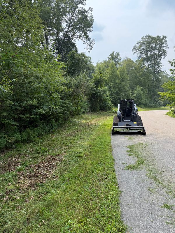 Forestry Mulching