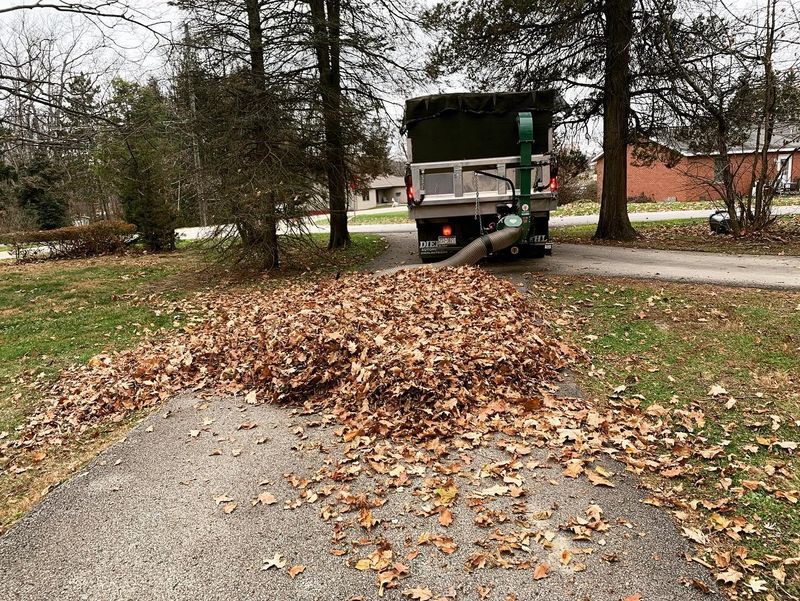 Fall and Spring Clean Up