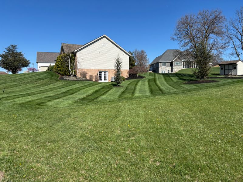Lawn Mowing