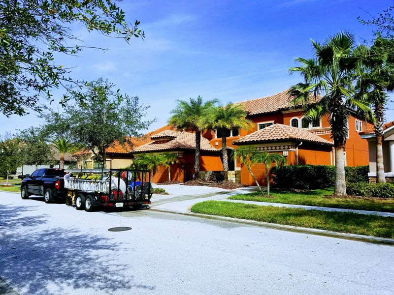 Tile Roof Cleaning