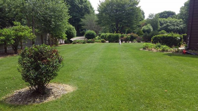 Lawn Care