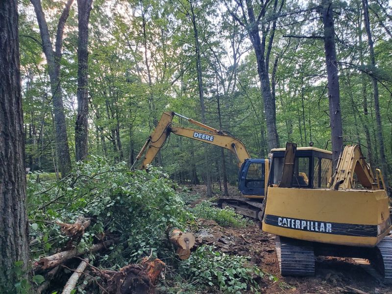 Land Clearing