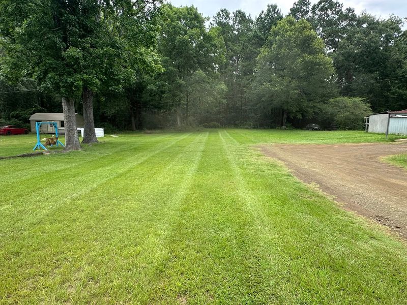 Landscaping 
