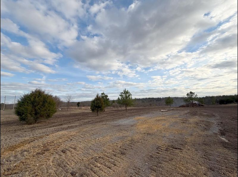 Land Clearing