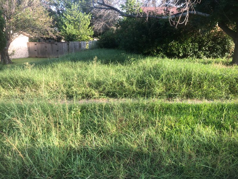 Lawncare