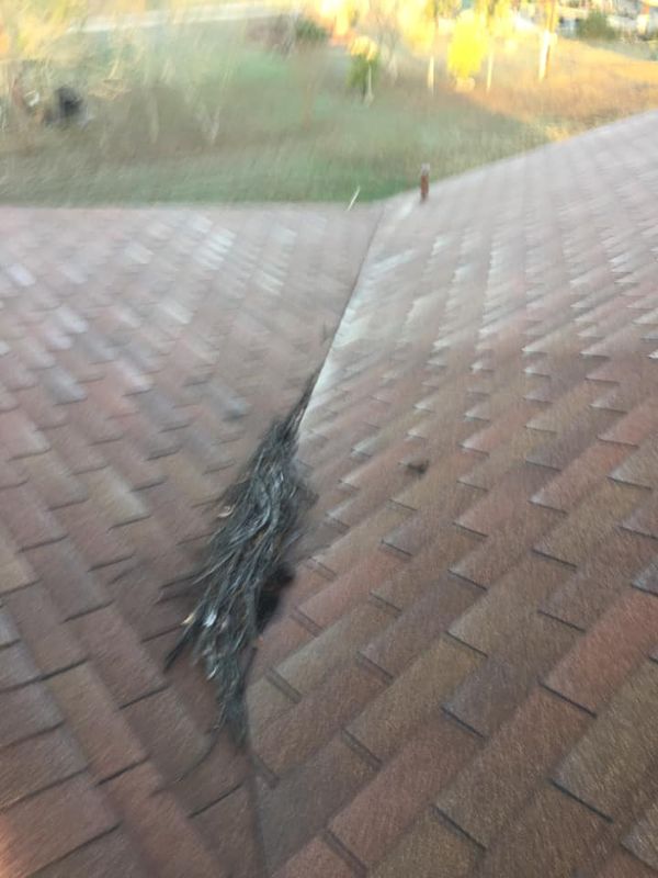 Roofing Installation