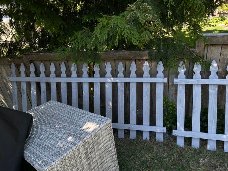 Deck Staining