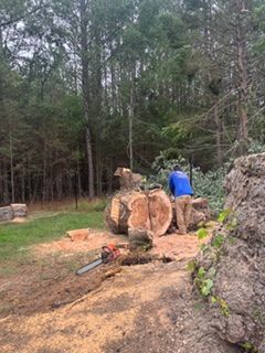Tree Removal
