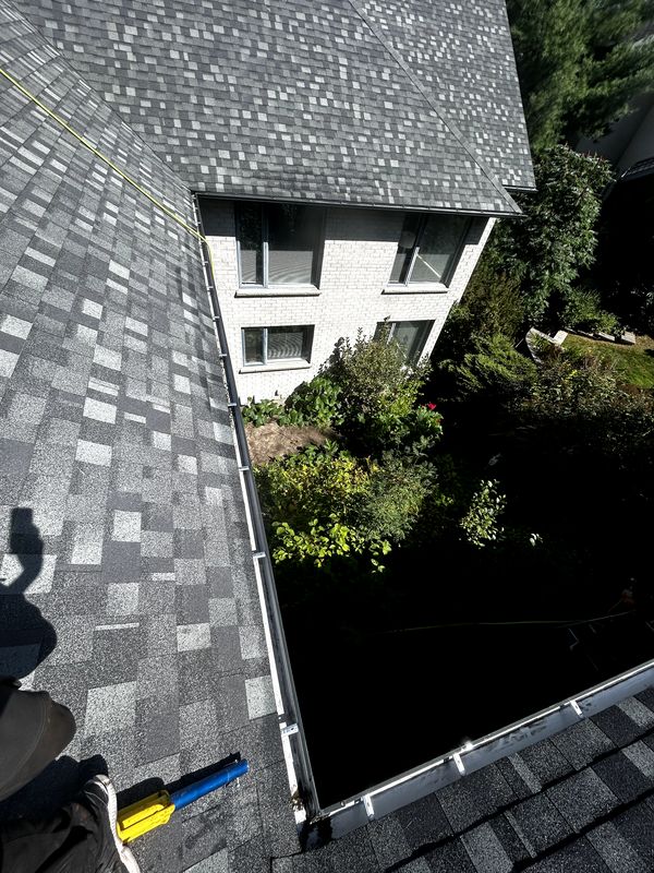 Roof Cleaning