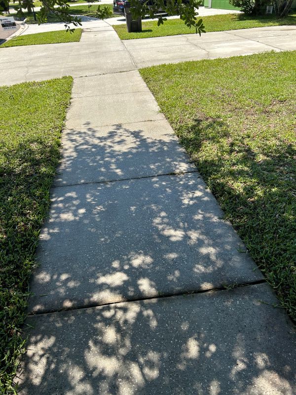 Driveway and Sidewalk Cleaning