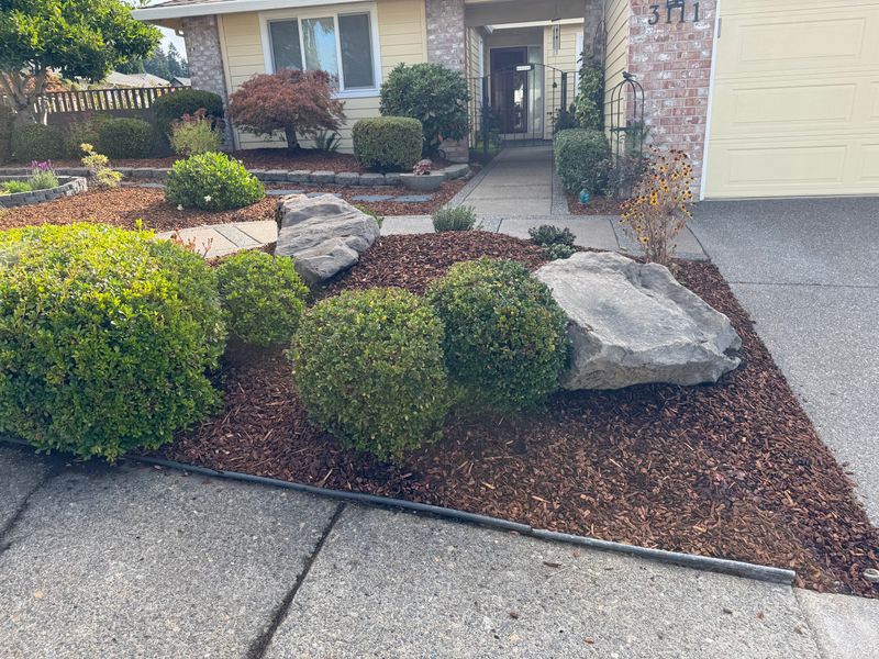 Shrub Trimming