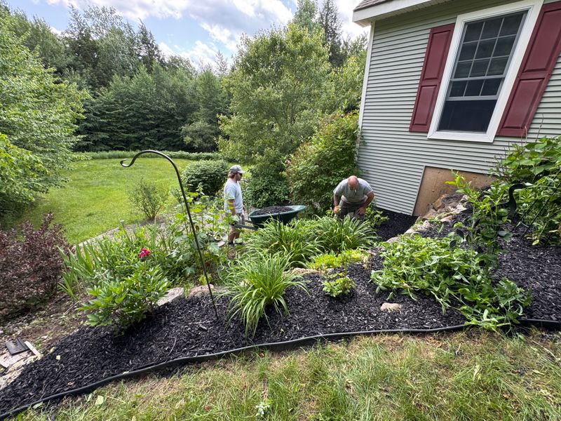 Garden Mulching