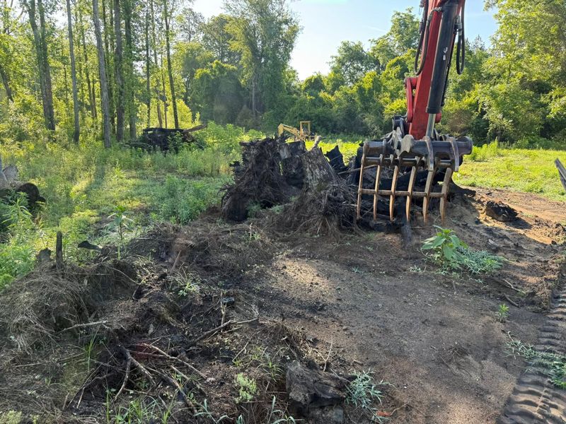 Land Clearing