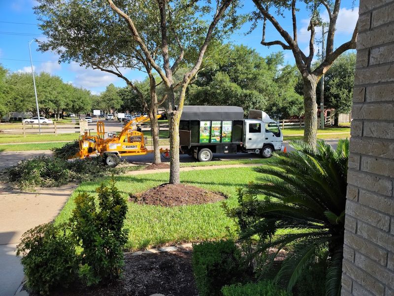 Stump Removal