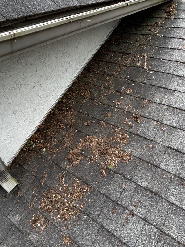 Buckeye Cleaning