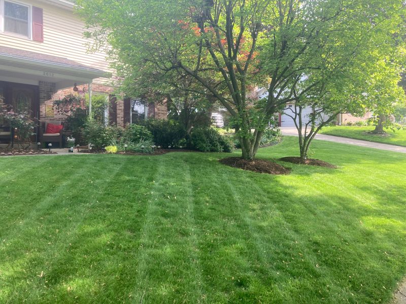 Landscape Design