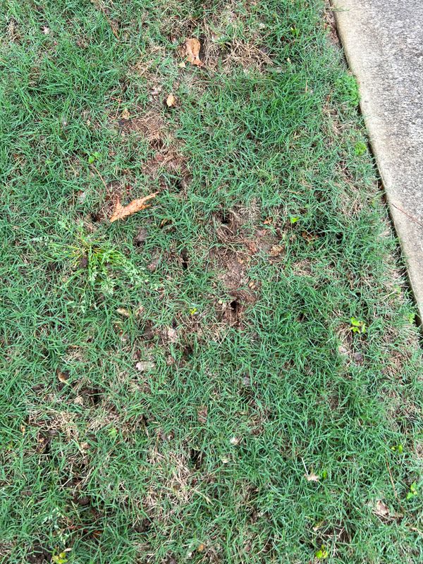 Aeration