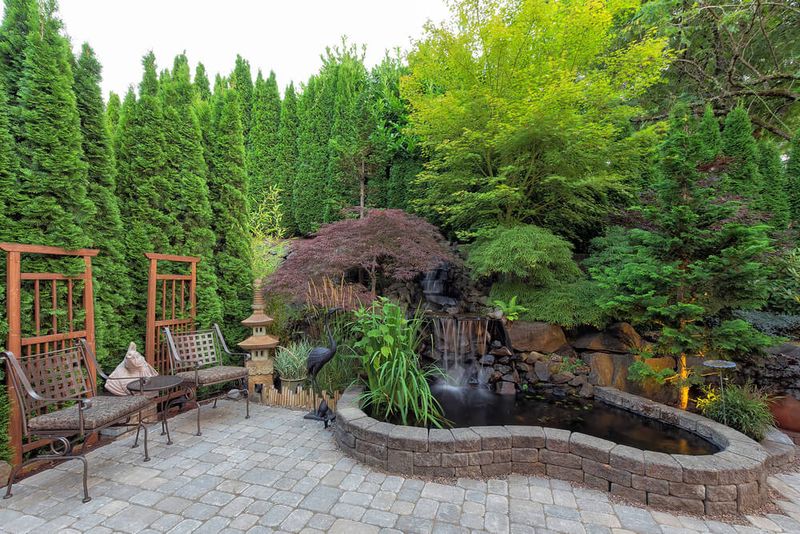 Landscape Design & Installation