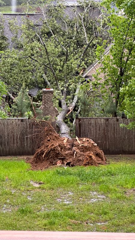 Emergency Storm Services